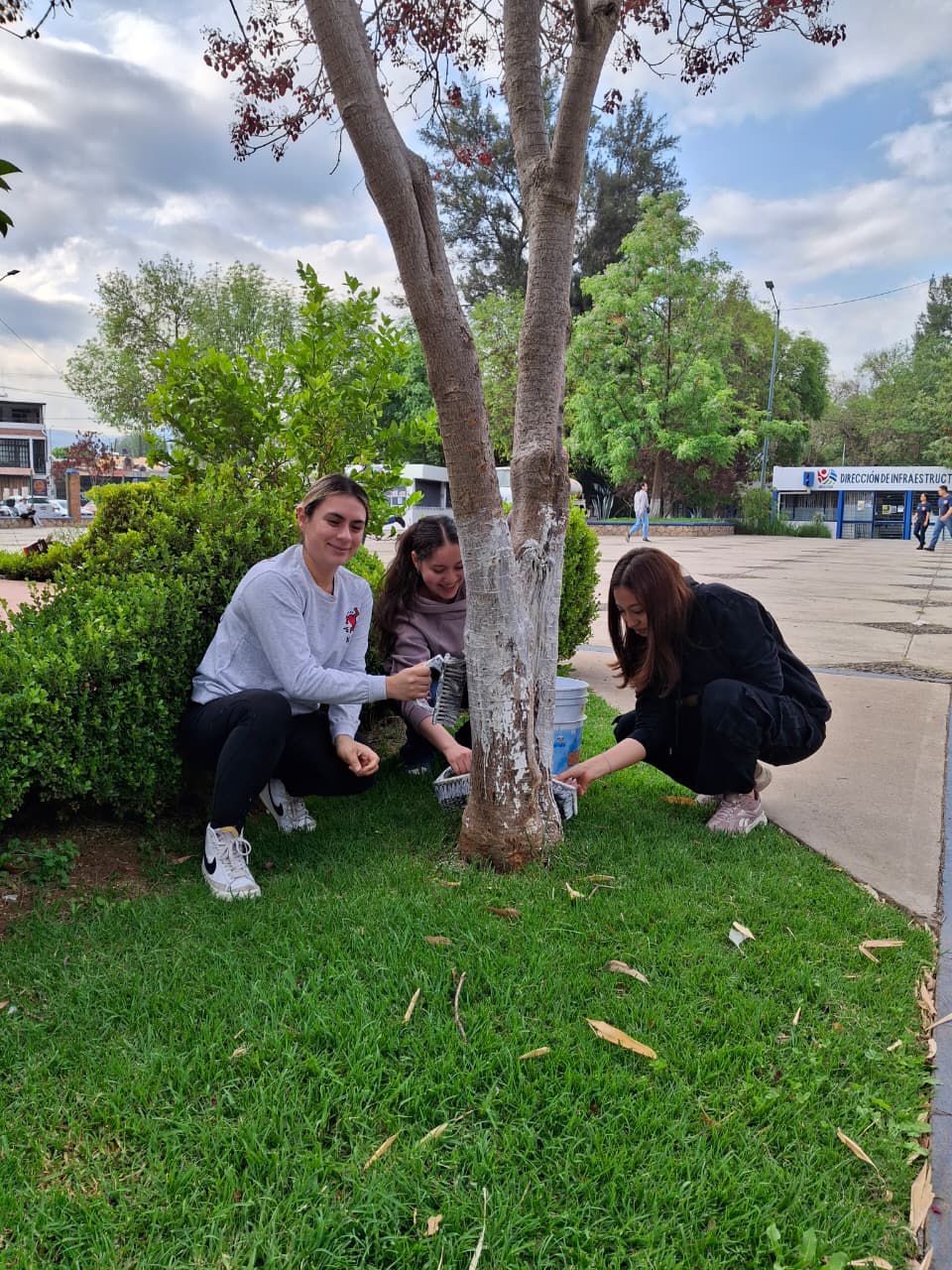 ENCALA, CUIDA Y HAZ QUE MORELIA BRILLE MÁS - Foto 1