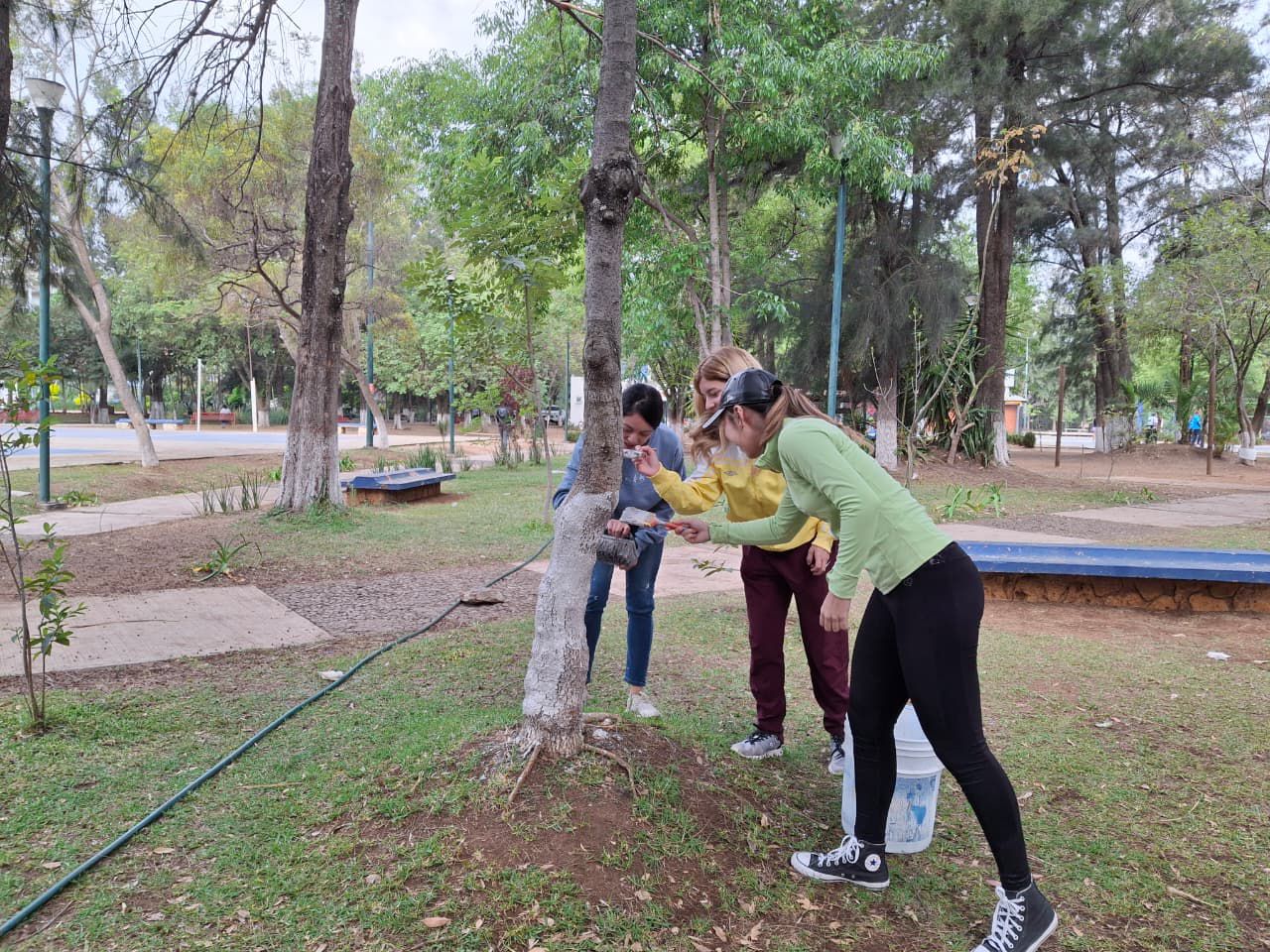 ENCALA, CUIDA Y HAZ QUE MORELIA BRILLE MÁS - Foto 2
