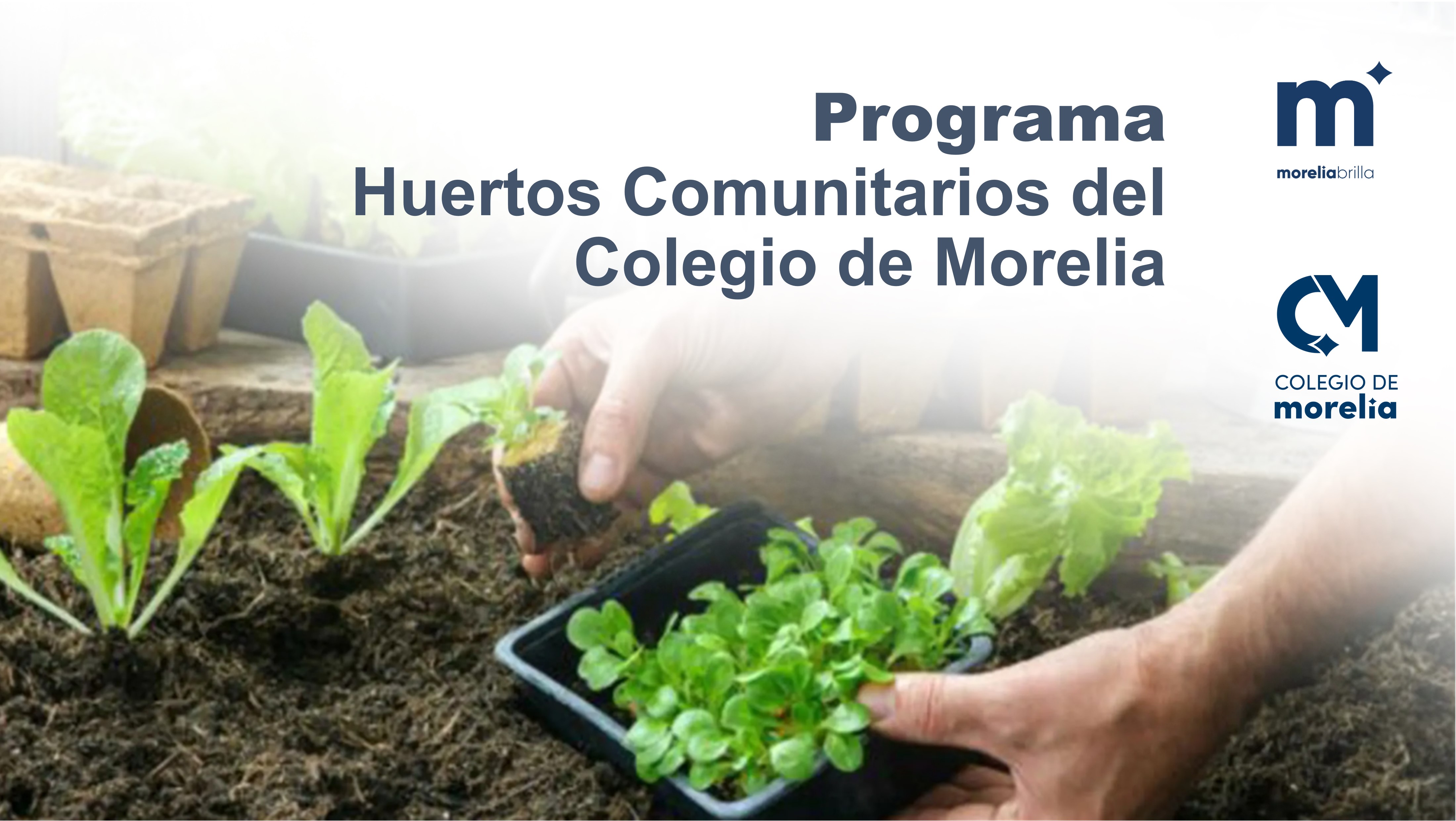 HUERTOS COMUNITARIOS