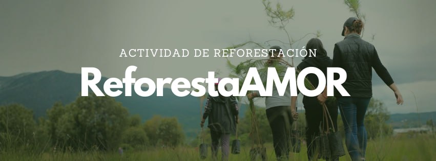 REFORESTAMOR