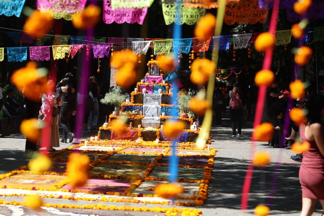 ALTARES Y TAPETES DE DÍA DE MUERTOS 2026